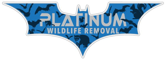 Wildlife Control Rush County